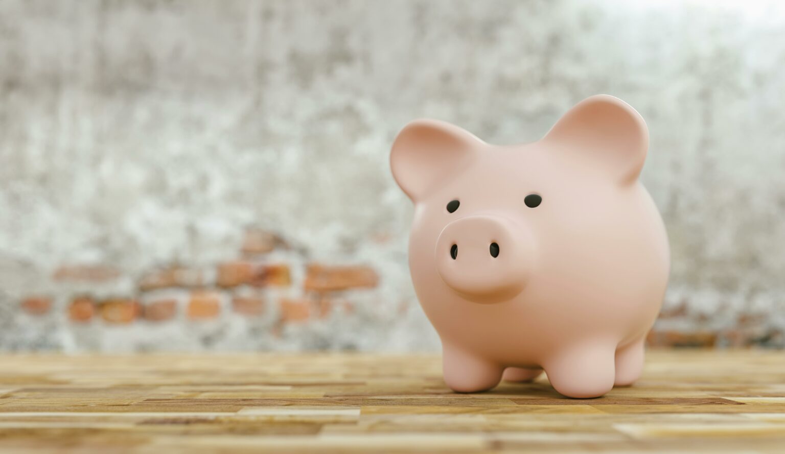 Pink Piggy Bank
